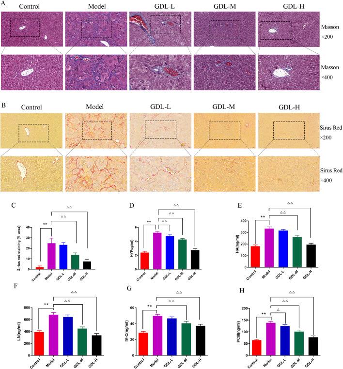 https://cdn.ncbi.nlm.nih.gov/pmc/blobs/cfbb/12183162/cb6206a1014c/fphar-16-1586171-g002.jpg