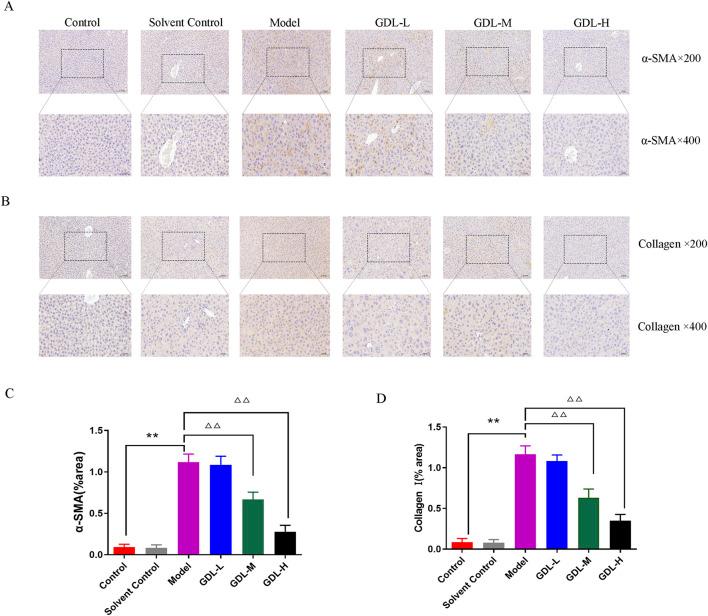 https://cdn.ncbi.nlm.nih.gov/pmc/blobs/cfbb/12183162/d114b24650b1/fphar-16-1586171-g003.jpg