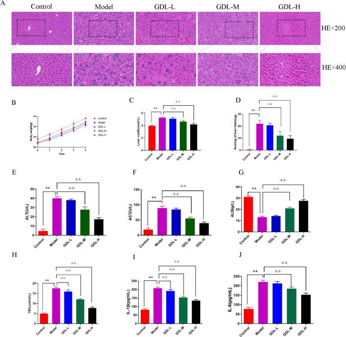 https://cdn.ncbi.nlm.nih.gov/pmc/blobs/cfbb/12183162/da0d581dcc83/fphar-16-1586171-g001.jpg
