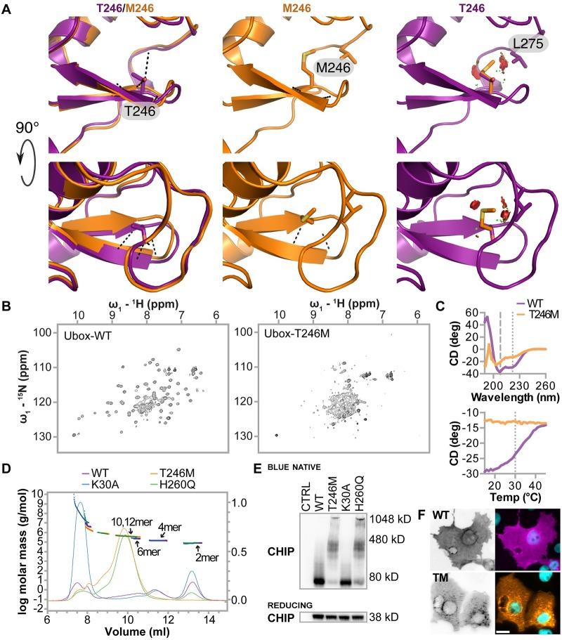 https://cdn.ncbi.nlm.nih.gov/pmc/blobs/cfbb/6160236/80256dacbbe7/pgen.1007664.g001.jpg