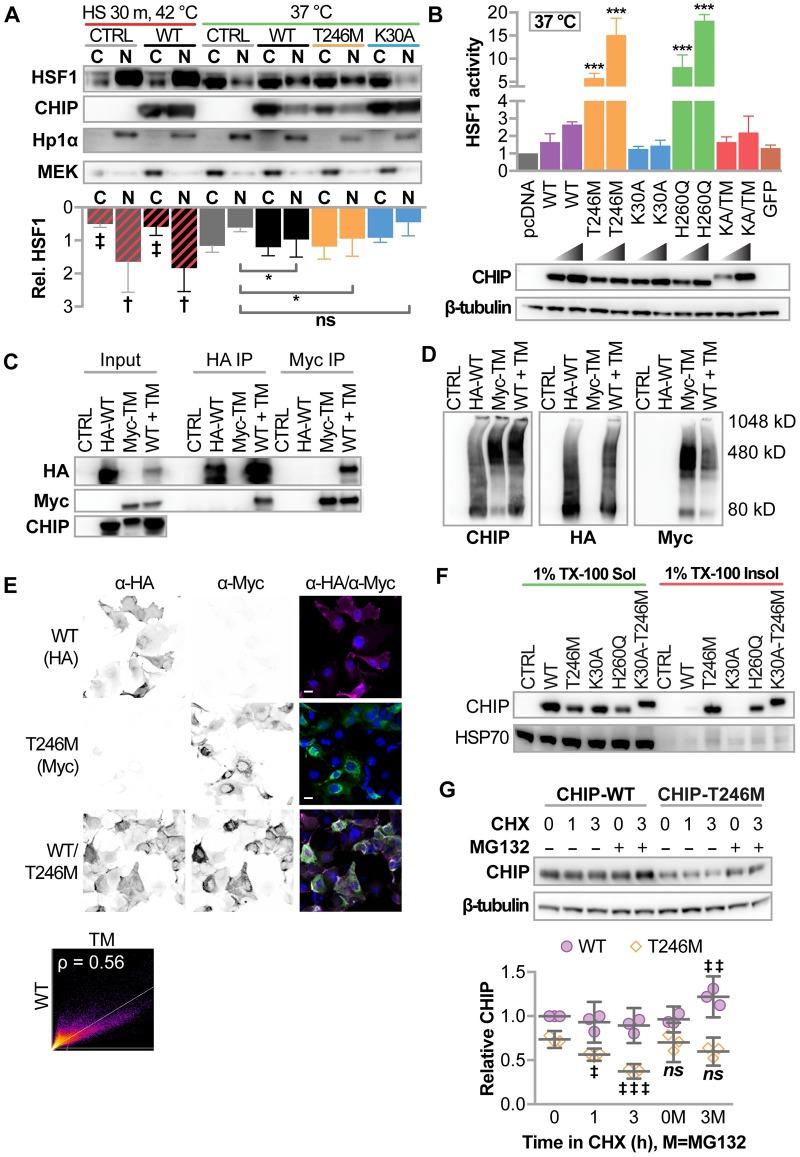 https://cdn.ncbi.nlm.nih.gov/pmc/blobs/cfbb/6160236/f34bf8ff29da/pgen.1007664.g003.jpg