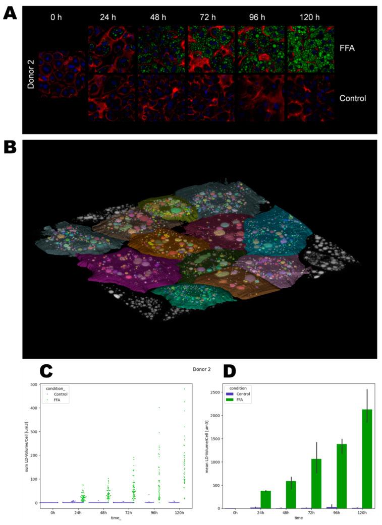 https://cdn.ncbi.nlm.nih.gov/pmc/blobs/cfbc/11941029/0061abd5283d/cells-14-00449-g003.jpg