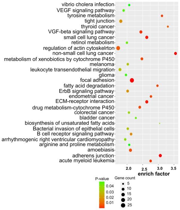 https://cdn.ncbi.nlm.nih.gov/pmc/blobs/cfbc/6312939/49945d9be1b8/OR-41-02-0895-g04.jpg