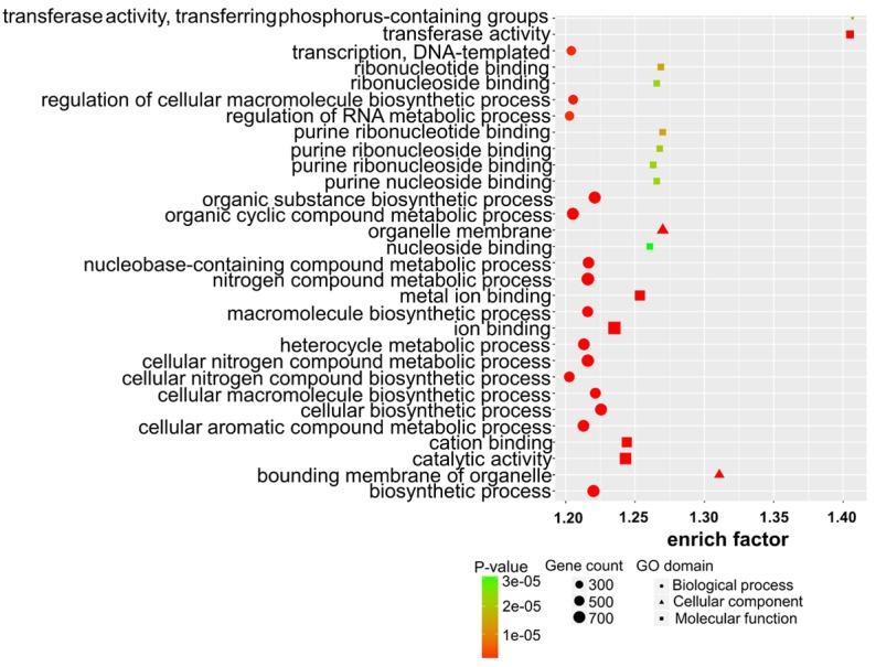 https://cdn.ncbi.nlm.nih.gov/pmc/blobs/cfbc/6312939/57c41330d9f3/OR-41-02-0895-g03.jpg