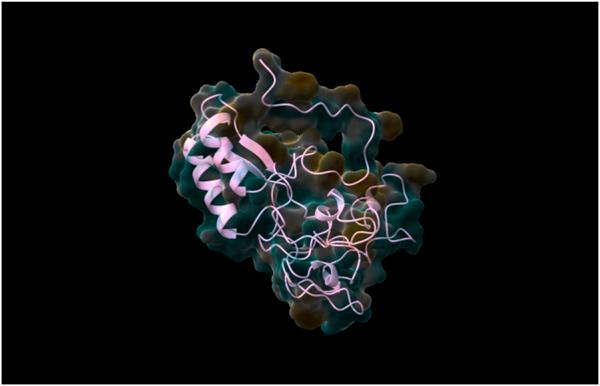 https://cdn.ncbi.nlm.nih.gov/pmc/blobs/cfbe/11664737/9855e0427bc5/fchem-12-1509407-g005.jpg