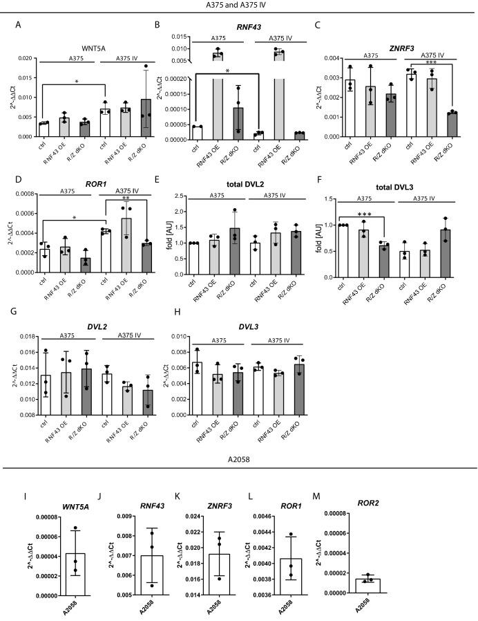 https://cdn.ncbi.nlm.nih.gov/pmc/blobs/cfbf/8550759/0146d4a8a456/elife-65759-fig4-figsupp2.jpg