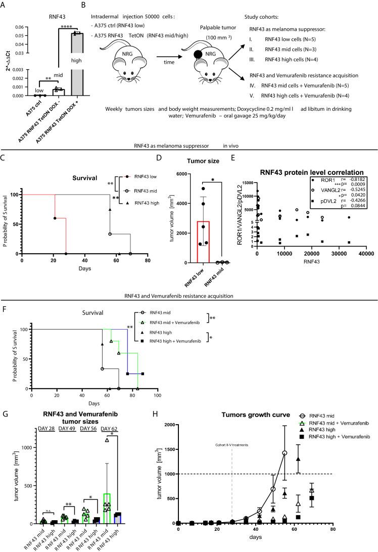 https://cdn.ncbi.nlm.nih.gov/pmc/blobs/cfbf/8550759/7c4244fa40a1/elife-65759-fig7.jpg