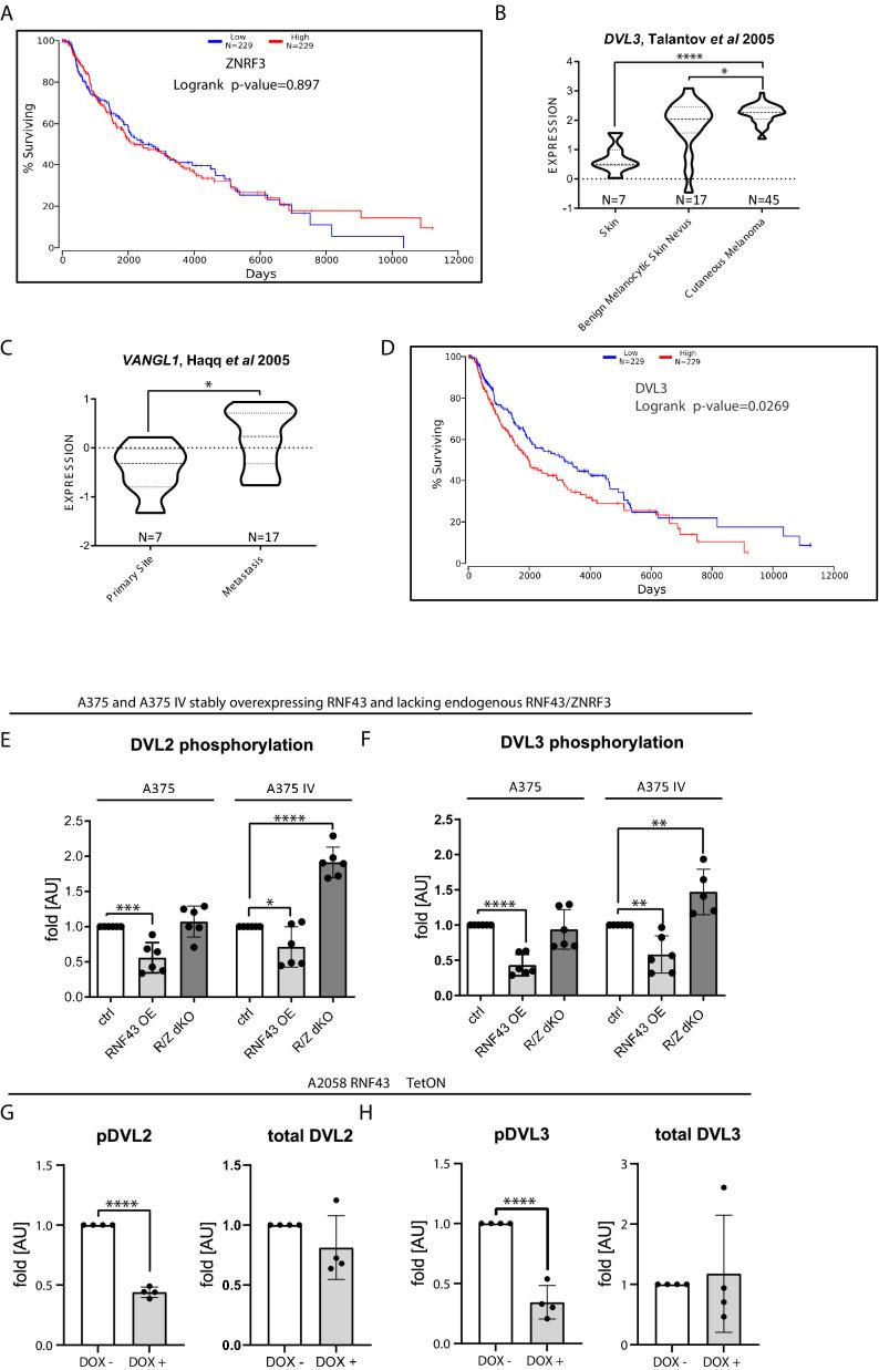 https://cdn.ncbi.nlm.nih.gov/pmc/blobs/cfbf/8550759/ef161824e30d/elife-65759-fig4-figsupp1.jpg