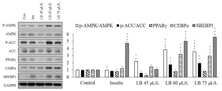 https://cdn.ncbi.nlm.nih.gov/pmc/blobs/cfbf/9351752/819f64a574d2/jfda-23-01-124f2.jpg