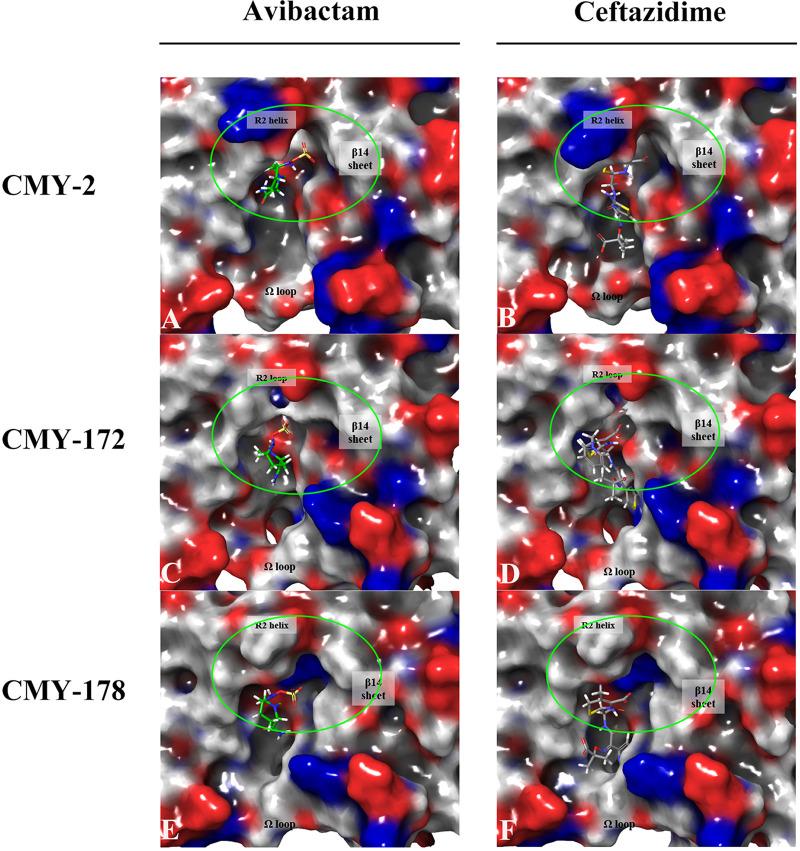 https://cdn.ncbi.nlm.nih.gov/pmc/blobs/cfc2/10100771/389565b43d8a/spectrum.03349-22-f004.jpg