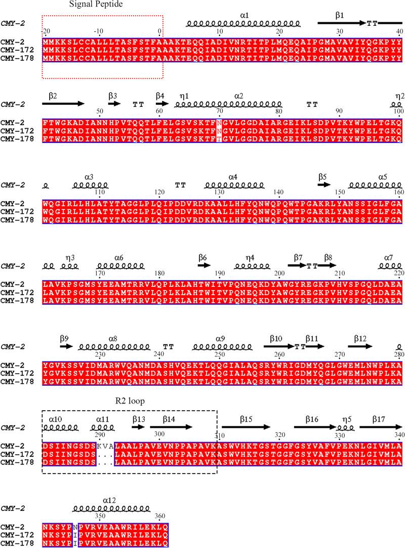 https://cdn.ncbi.nlm.nih.gov/pmc/blobs/cfc2/10100771/5e400986d484/spectrum.03349-22-f001.jpg