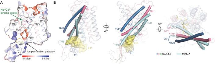 https://cdn.ncbi.nlm.nih.gov/pmc/blobs/cfc2/10897212/3e64405b8e8c/44318_2023_13_Fig2_HTML.jpg