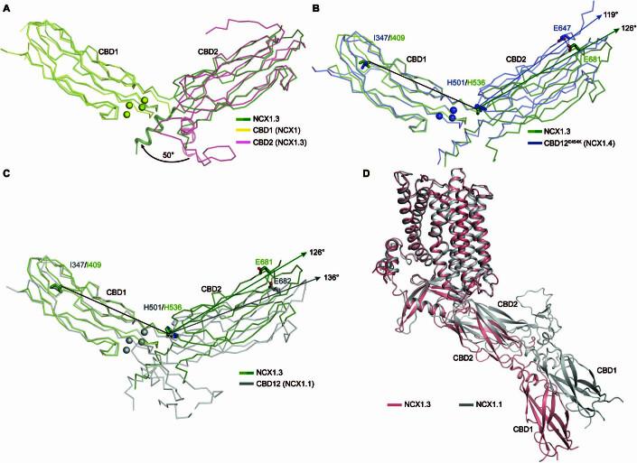 https://cdn.ncbi.nlm.nih.gov/pmc/blobs/cfc2/10897212/bbe6a4e8b749/44318_2023_13_Fig5_ESM.jpg