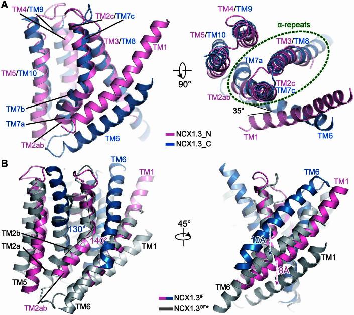 https://cdn.ncbi.nlm.nih.gov/pmc/blobs/cfc2/10897212/bd6e137e9737/44318_2023_13_Fig6_ESM.jpg
