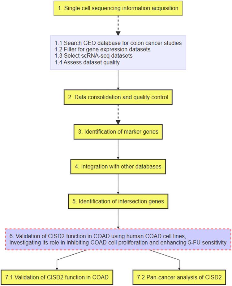 https://cdn.ncbi.nlm.nih.gov/pmc/blobs/cfc3/10249621/80f425032236/peerj-11-15476-g001.jpg