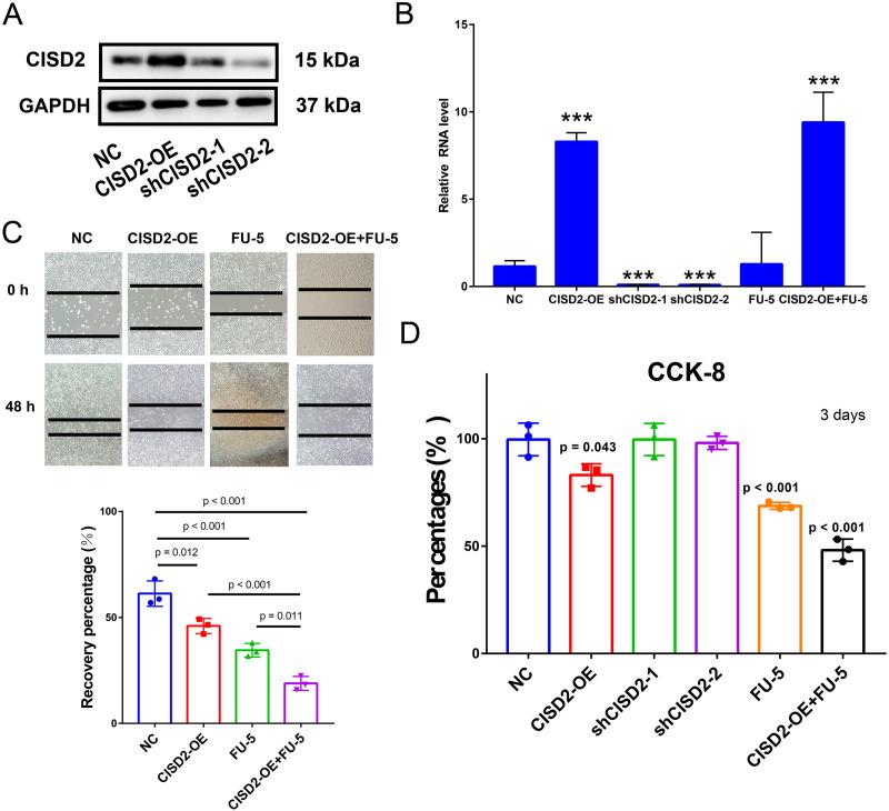 https://cdn.ncbi.nlm.nih.gov/pmc/blobs/cfc3/10249621/d7a1e72b748d/peerj-11-15476-g006.jpg