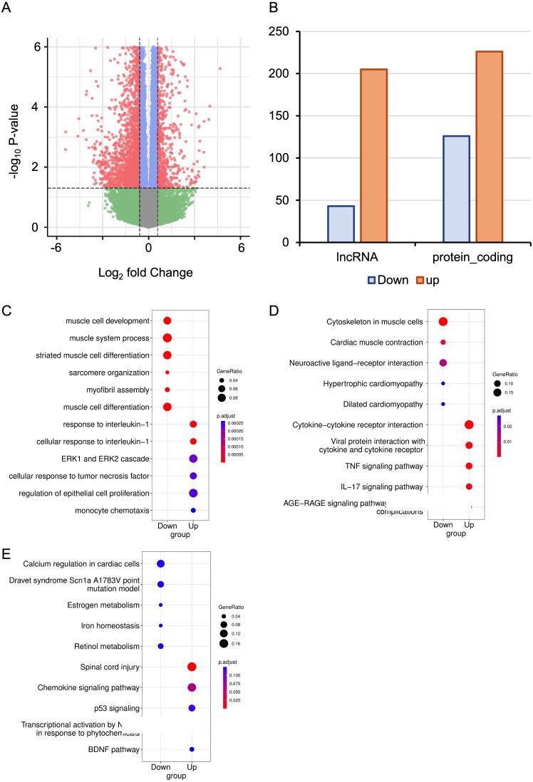 https://cdn.ncbi.nlm.nih.gov/pmc/blobs/cfc3/11439394/968266245fff/peerj-12-18069-g002.jpg