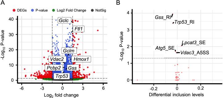 https://cdn.ncbi.nlm.nih.gov/pmc/blobs/cfc3/11439394/d0cb99a49eb3/peerj-12-18069-g006.jpg