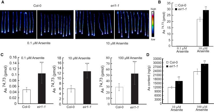 https://cdn.ncbi.nlm.nih.gov/pmc/blobs/cfc3/7747963/a6b6505731ed/gr4.jpg
