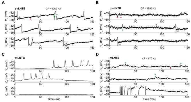 https://cdn.ncbi.nlm.nih.gov/pmc/blobs/cfc5/4995217/92091ae0b522/fncir-10-00069-g006.jpg
