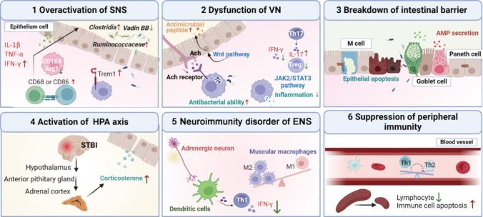 https://cdn.ncbi.nlm.nih.gov/pmc/blobs/cfc6/11759007/10c4466f3a9a/NRR-20-2153-g003.jpg