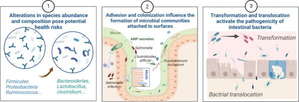 https://cdn.ncbi.nlm.nih.gov/pmc/blobs/cfc6/11759007/718e539509df/NRR-20-2153-g002.jpg