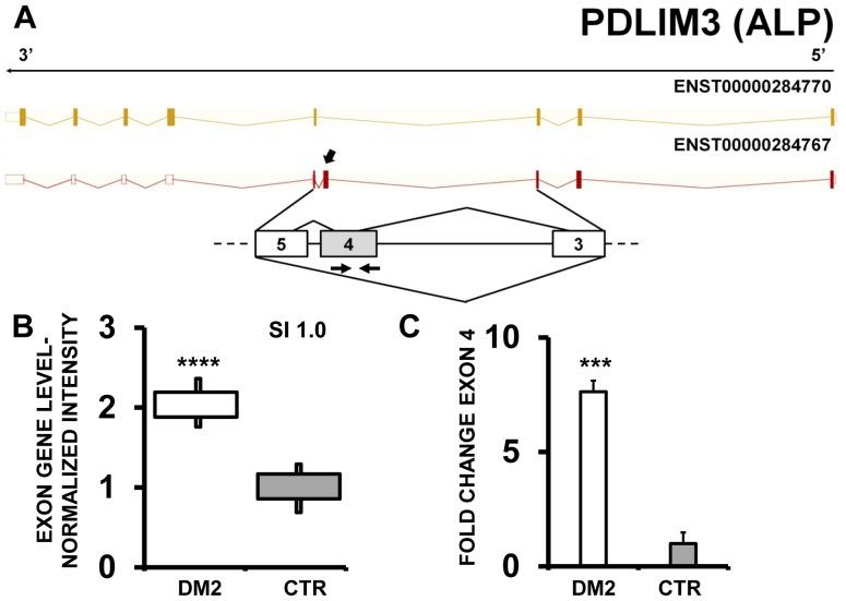 https://cdn.ncbi.nlm.nih.gov/pmc/blobs/cfc6/3983107/45034be36976/pone.0093983.g002.jpg