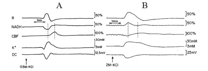 https://cdn.ncbi.nlm.nih.gov/pmc/blobs/cfc7/3367297/48636ebb12d9/TONEUJ-6-6_F2.jpg
