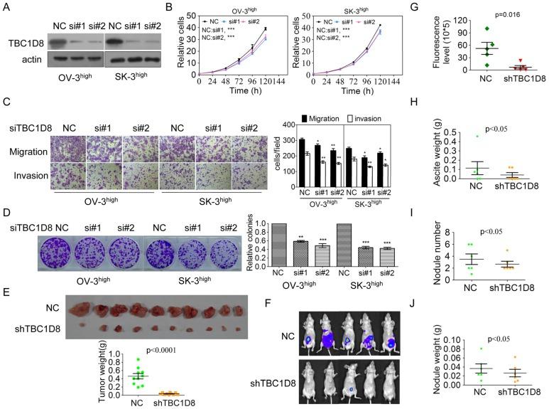 https://cdn.ncbi.nlm.nih.gov/pmc/blobs/cfc7/6376479/9c61b5e77d4e/thnov09p0676g003.jpg