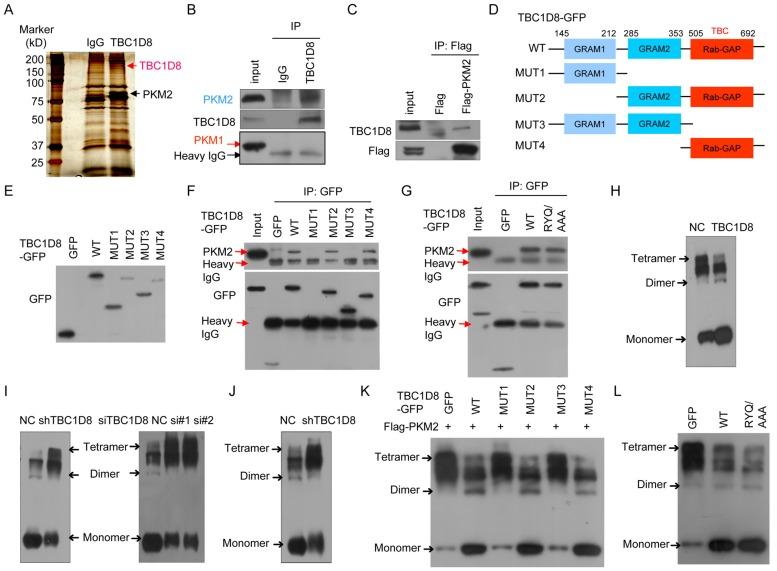 https://cdn.ncbi.nlm.nih.gov/pmc/blobs/cfc7/6376479/b11d079af6ae/thnov09p0676g004.jpg
