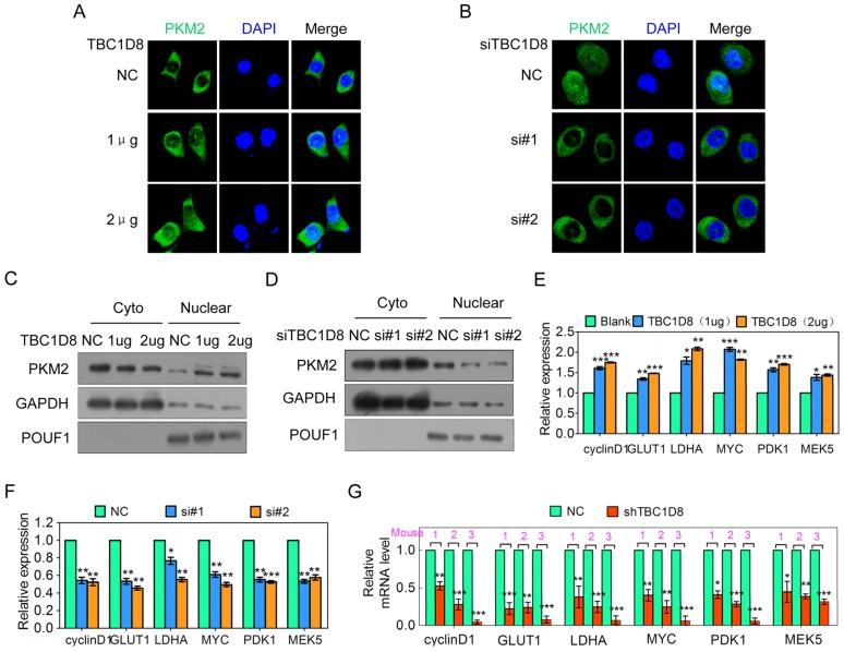 https://cdn.ncbi.nlm.nih.gov/pmc/blobs/cfc7/6376479/b5713c481ed1/thnov09p0676g006.jpg