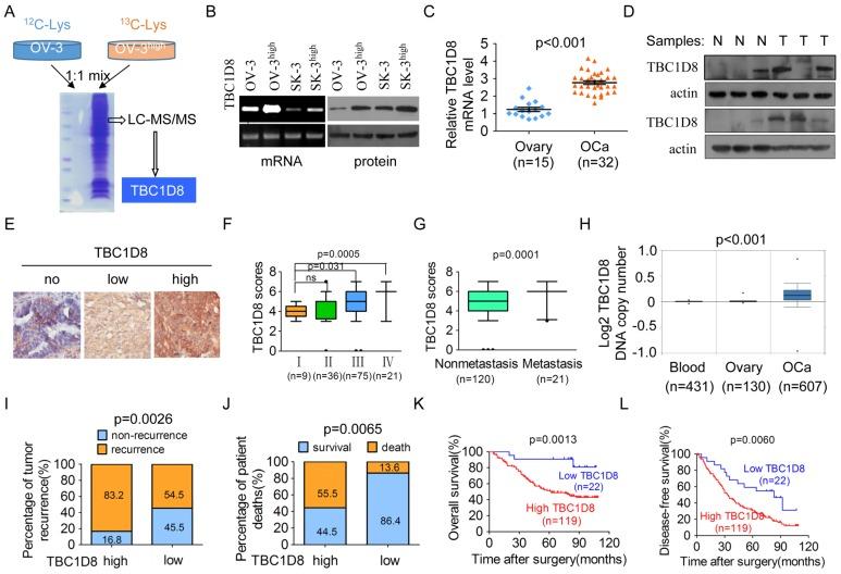 https://cdn.ncbi.nlm.nih.gov/pmc/blobs/cfc7/6376479/b5ef619d62ac/thnov09p0676g002.jpg