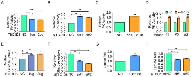https://cdn.ncbi.nlm.nih.gov/pmc/blobs/cfc7/6376479/ec8ccd62697a/thnov09p0676g005.jpg