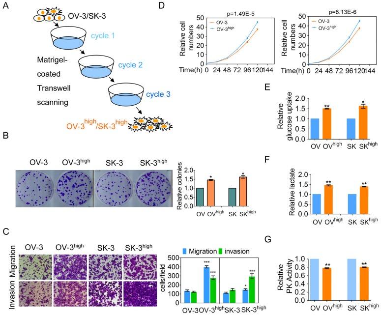 https://cdn.ncbi.nlm.nih.gov/pmc/blobs/cfc7/6376479/fd9a681a8a9c/thnov09p0676g001.jpg