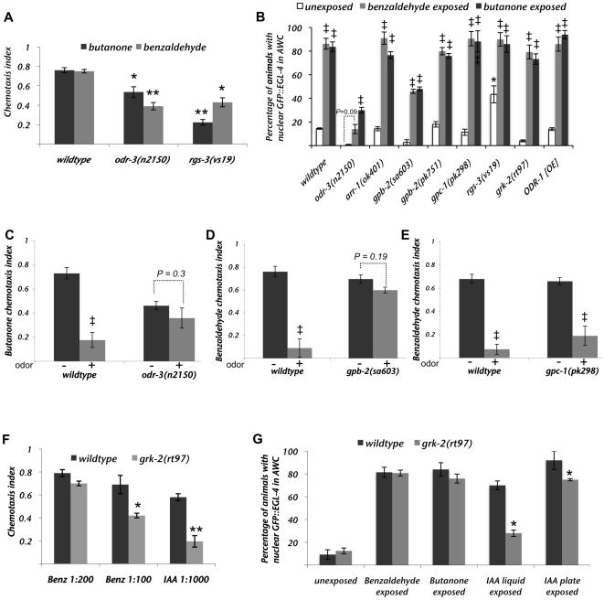 https://cdn.ncbi.nlm.nih.gov/pmc/blobs/cfc9/2780698/ba3ed4e3cf65/pgen.1000761.g002.jpg