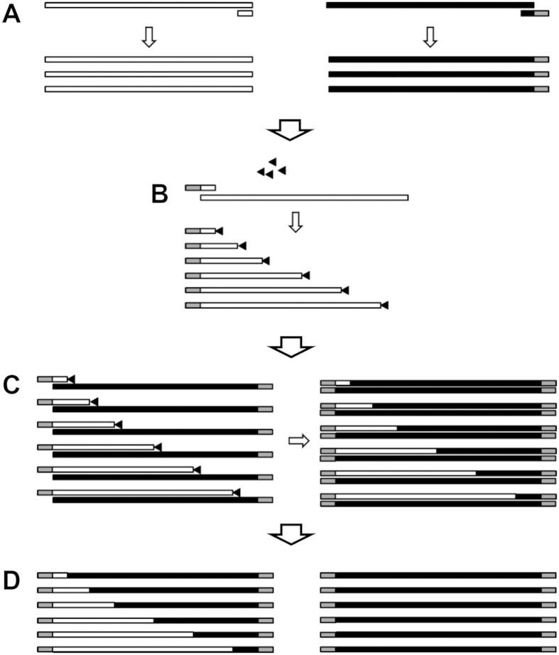 https://cdn.ncbi.nlm.nih.gov/pmc/blobs/cfc9/4838838/b169c80e12a4/srep23536-f1.jpg