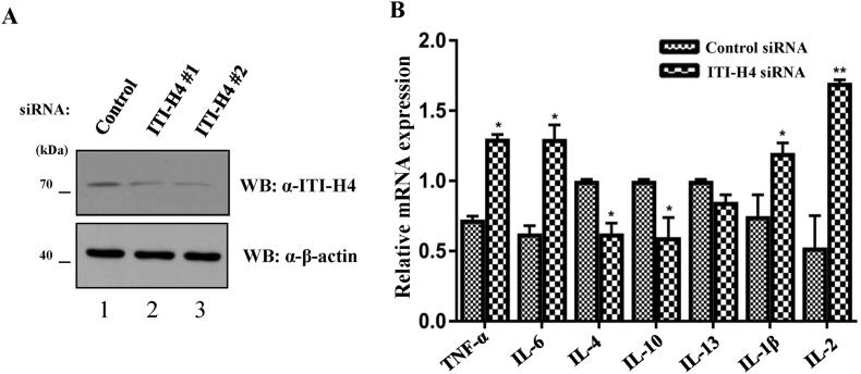 https://cdn.ncbi.nlm.nih.gov/pmc/blobs/cfce/6286651/0b6194cbd464/gr4.jpg