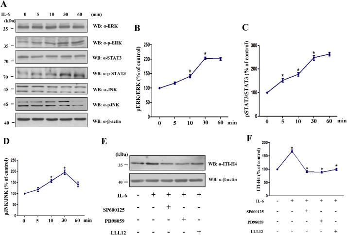 https://cdn.ncbi.nlm.nih.gov/pmc/blobs/cfce/6286651/b6756dca592e/gr3.jpg