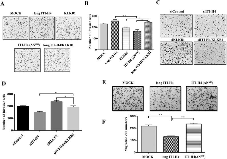 https://cdn.ncbi.nlm.nih.gov/pmc/blobs/cfce/6286651/cbd0c7634ca7/gr6.jpg