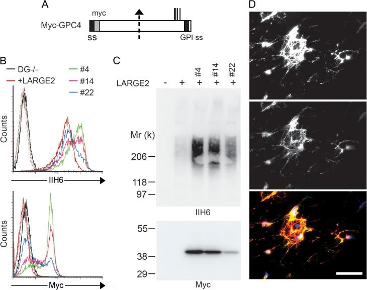 https://cdn.ncbi.nlm.nih.gov/pmc/blobs/cfcf/5137251/ccbd41d6afe4/cww075f02.jpg