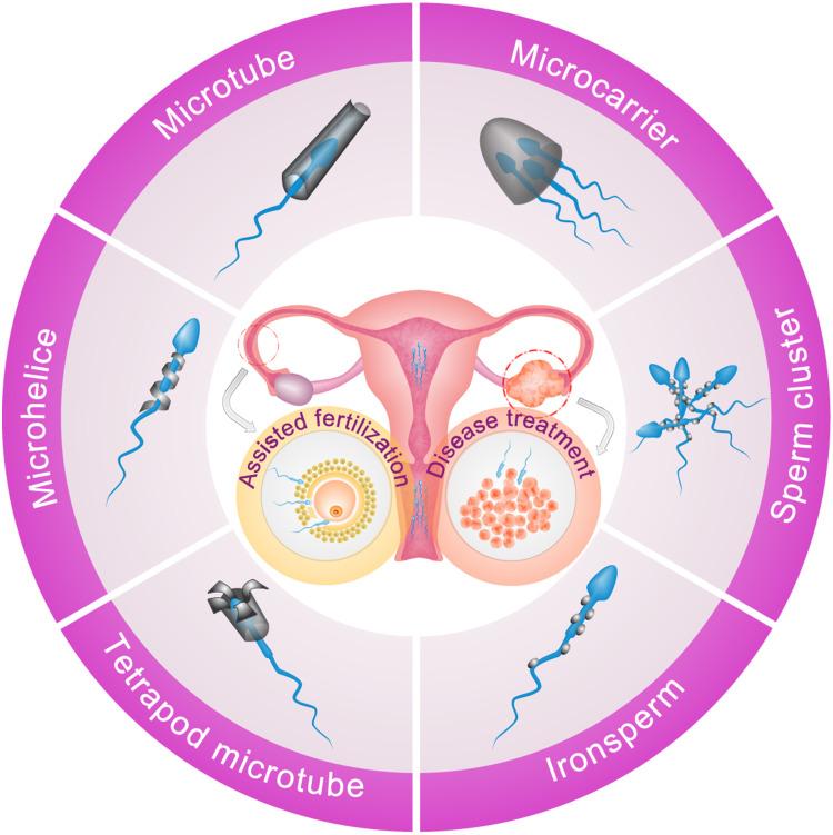 https://cdn.ncbi.nlm.nih.gov/pmc/blobs/cfd1/11149708/4b9ec90a099e/IJN-19-5095-g0001.jpg