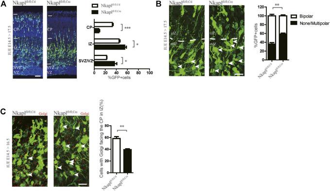 https://cdn.ncbi.nlm.nih.gov/pmc/blobs/cfd2/9253766/2f8e2625e107/fgene-13-941171-g002.jpg