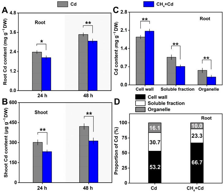 https://cdn.ncbi.nlm.nih.gov/pmc/blobs/cfd3/11435170/7ad1e44e944e/plants-13-02639-g003.jpg