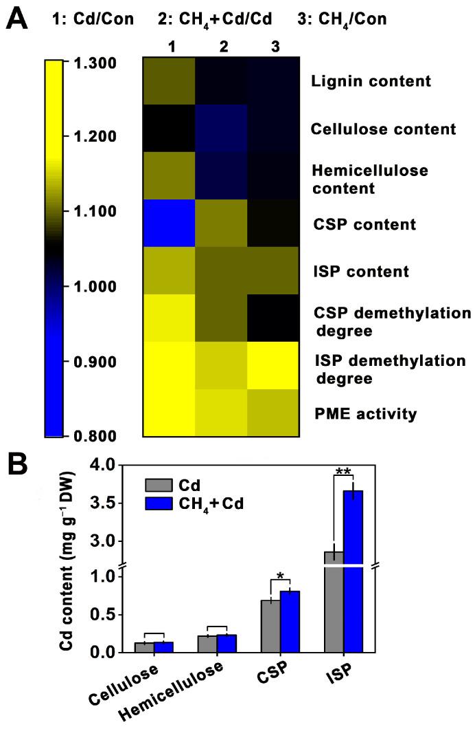 https://cdn.ncbi.nlm.nih.gov/pmc/blobs/cfd3/11435170/ba2732327589/plants-13-02639-g004.jpg