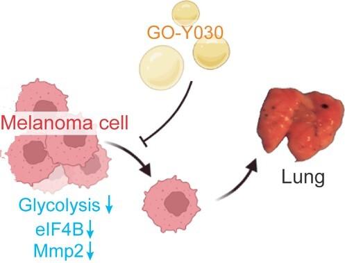 https://cdn.ncbi.nlm.nih.gov/pmc/blobs/cfd4/11002536/ac7cbdc58e14/mvad066ga.jpg