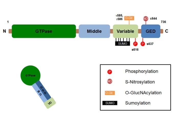 https://cdn.ncbi.nlm.nih.gov/pmc/blobs/cfd4/3807002/be2f6838cb53/en-22-149-g001.jpg