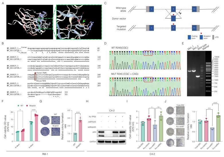 https://cdn.ncbi.nlm.nih.gov/pmc/blobs/cfd5/12080385/ef071c055da8/ijbsv21p3081g002.jpg