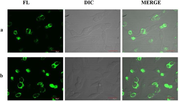 https://cdn.ncbi.nlm.nih.gov/pmc/blobs/cfd5/4721820/c051f6744ea7/sensors-15-29902-g003.jpg