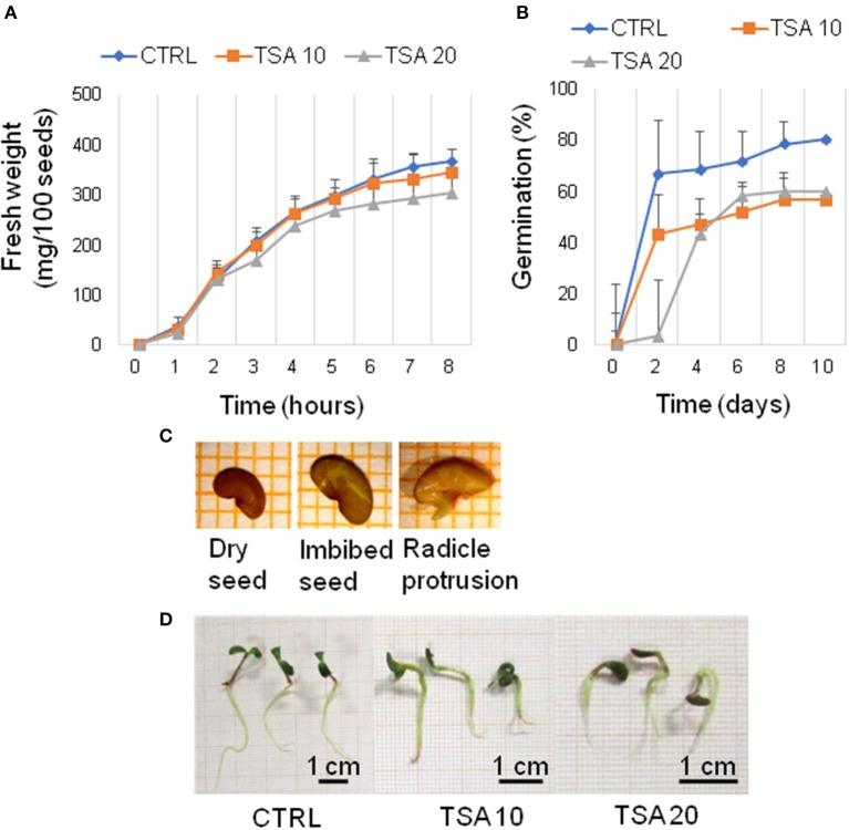 https://cdn.ncbi.nlm.nih.gov/pmc/blobs/cfd5/5694548/e10fe3f104f0/fpls-08-01972-g0001.jpg