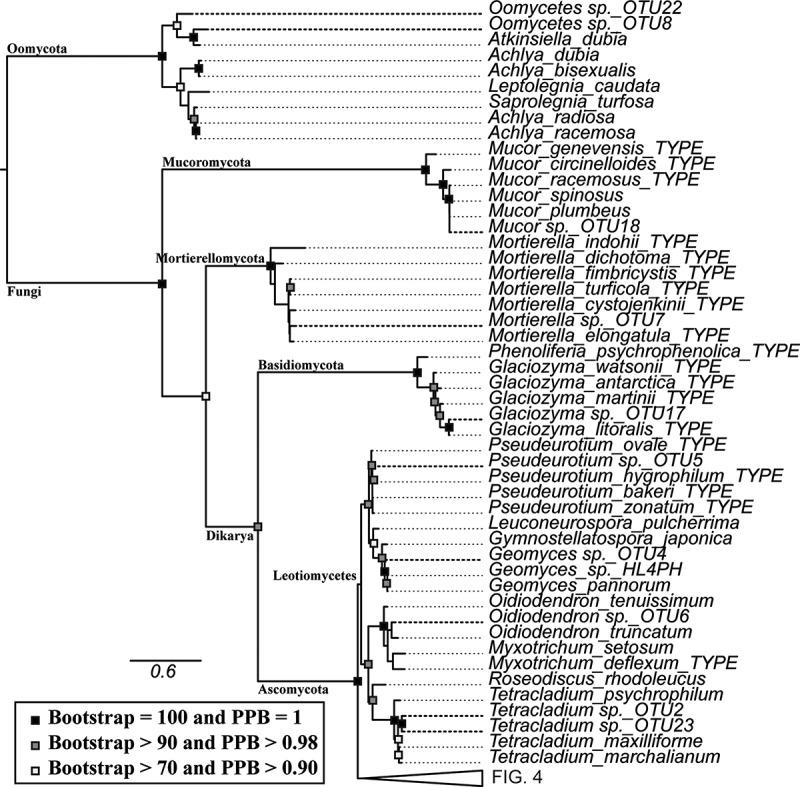 https://cdn.ncbi.nlm.nih.gov/pmc/blobs/cfd7/7534220/349cfb52652c/TMYC_A_1708492_F0003_B.jpg